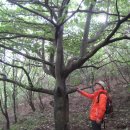 곰배령스케치 이미지