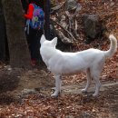 포그니펜션 이미지