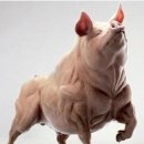 코어한의원 이미지