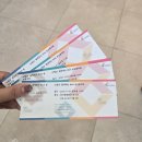 송년 음악회 | 문화예술회관/부산문화회관/소향과 함께하는 송년음악회/12월 연말공연 관람기