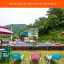 반디네허브 이미지