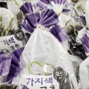 아삭아삭청과유통