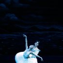 수원발레축제 이미지