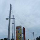 은미문어