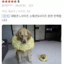 카라피시방 이미지