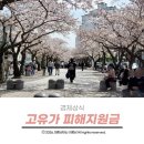 세교주유소 태양에너지 | 고유가 피해지원금 나도 받을 수 있을까? 소득하위 70% 최대 60만원 지원금 총정리