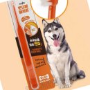 오렌지덴탈 이미지