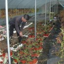 산새농원 이미지