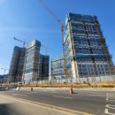 에이스약국 이미지