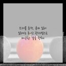 스카이의원 이미지