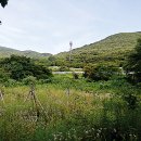 종회농장 Daum카페