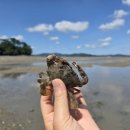 왕산어촌체험휴양마을 이미지