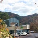 치유의 숲 이미지