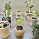 공리농장1 | 감도높은 노원 플랜트샵 공릉꽃집 그래시룸 화분사기 좋은 곳