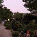 흥부바지걸쳐입고 이미지