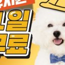 옐레드 동탄예당점 이미지