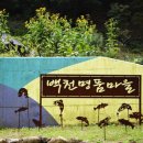 끝집 한국일보