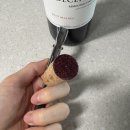 [뱅가드] 와인스펙터 29위?! &#39;데세로 말벡 2019&#39; / Decero Malbec 2019 내돈내산 시음후기