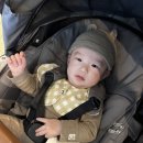 4월 일상 | 휴가 기다리며, 휴가 즐기며, 연휴 기다리며 행복만한 4월 (푸켓 여행, 4개월 아기 육아...