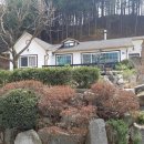 잣나무집정원 이미지