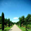 미술심리상담사1급 이미지