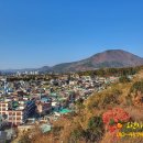 원창부동산 이미지