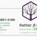 영천나무병원 이미지