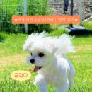 포댕 네이버블로그