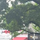 파리바게트 금곡점 이미지