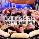 왕십리길약국 | 양대포 왕십리 본점 | 한양대 고기집 양고기 가성비 맛집 예약 내돈내산
