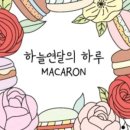 하루마카롱