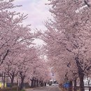 어물보건진료소 이미지