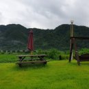 다래하우스펜션 이미지