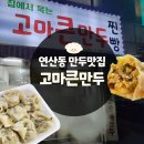 고마큰만두 | 연산동맛집 동네 수제만두 맛있는 곳 고마큰만두 내돈내산