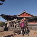 제주 올레길 17코스 이미지