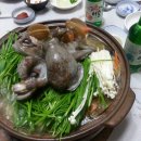 명송오리