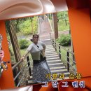 겨울 나그네 이미지