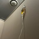 일도365의원 이미지