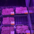 백제성숯불구이정육식당 | [백제성 숯불구이 정육식당] 전주 신시가지 투플러스 한우 먹을 수 있는 곳 상차림비 없는 정육식당