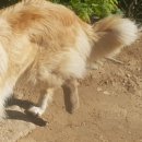 고니농장 이미지