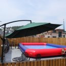 혼자두면 장판뜯어서 차린 개카페 이미지