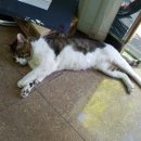 타이어프로 구미옥계점 이미지