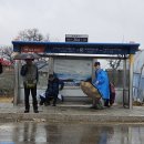 연천학곡리고인돌 이미지