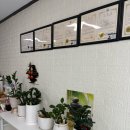 통미로 | 평택 레드희 사주타로카페 솔직후기✨ 가격·분위기·타로 정확도까지!