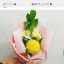아마존 꽃 식물원 네이버블로그