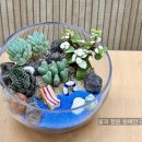 자연과식물원예연구소 이미지