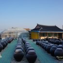 메주꽃이랑 이미지