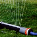 송수농장 이미지