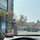 성정천사약국 이미지