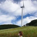 발전농장 이미지